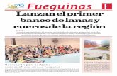 Fueguinas - La Prensa Australprimer Banco de Lanas y Cueros de Magallanes Respecto a la observación de recuperación de praderas median - te la siembra de nuevas pasturas con muy