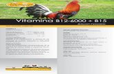 Vitamina B12-6000 + B15 - econovet.com.mxeconovet.com.mx/pdf/vitamina-b12.pdf · vitamina B12 está indicado en el tratamiento de anemias de distinto origen y trastornos nervio- sos.