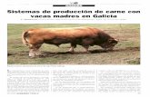 Si vacas madre - mapa.gob.es · llados en Mahegondo, la raza Ruhi^t Gallega es la utilizada, dehido a yuc - Es la raz^i de Galicia, con 189.000 vacas en cxplotación (MAYA 19t^6).