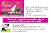 ‘Aspectos fundamentales de la producción ovina de leche’...Modelo español de ovino lechero “queso-raza de oveja” (Caja et al., 2011) Queso DOP1 Comunidad Autonoma Raza de