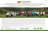 Territorio Sostenible Adaptado al Clima - Cauca TeSA… · 2 Según el mapa de ecosistemas continentales, costeros y marinos de Colombia, escala 1:100.000 (IDEAM, et al, 2015), Colombia