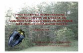 PROJECTES DE BIODIVERSITAT I BIOINDICADORS DE L’ESTAT DE ... · PARC NATURAL DEL MONTSENY «Biodiversitat de coleòpters en el Parc Natural del Montseny com indicadors de l’estat