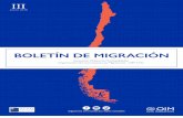 BOLETÍN DE MIGRACIÓN · 3 Entrevista a William Arévalo Cornejo, alcalde de Santa Cruz 7 OIM Chile apoya repatriación de la ciudadana haitiana Joane Florvil 8 Entrevista a Javier