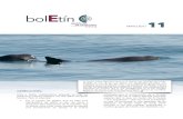 bolEtín - ecologia.unam.mx · bolEtín MAYO 2017 La vaquita marina (Phocoena sinus) es el cetáceo más pequeño del mundo.También es uno de los que tienen una distribución geográfica