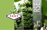 RSE - La Fast · 2019-12-09 · La estrategia de crecimiento equilibrado de La Fast condiciona y cimenta su política de RSE a través de nuestro compromiso social. Creemos que no
