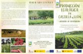 AGRICULTURA ECOLÓGICA PRODUCCIÓN ECOLÓGICA · Castilla y León (2016-2020) y la incorporación de la agricultura eco-lógica en las estrategias alimentarias de ciudades como Valladolid,