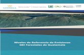 TÍTULO DE LA PUBLICACIÓN · Componente 3: Niveles de Referencia de Emisiones Forestales / Niveles de Referencia Forestal (NREF/NRF) 12 Autoridades de Gobierno Ministerio de Ambiente