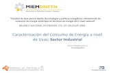 Caracterización del Consumo de Energía a nivel de Usos ...MINISTERIO DE INDUSTRIA ENERGIA Y MINERIA ... Fuentes y Usos de la Energía en la Industria ... Participación de las fuentes