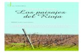 DEGUSTACIÓN DEL TERRITORIO: Los paisajes · Los paisajes del viñedo tienen un valor especial en el mundo rural por su carácter de cultivo permanente. Frente a los cultivos herbáceos,