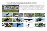 648-01 Aves de Puerto Asis v1 - Field GuidesAves de la Zona de Reserva Campesina La Perla Amazónica – ... Colectivo “Aves-tamiento en Humedales”. [648] versión 1 12/2014 La