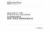 BASES DE POSTULACIÓN · 2 1. ANTECEDENTES Somos Salamanca es la expresión local de Somos Choapa, y es el programa de colaboración entre la Municipalidad de Salamanca y Minera Los