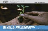 ©FAO/Melissa Pérez Molina REVISTA INFORMATIVA · 2018-02-21 · El Panorama de Seguridad Alimentaria y Nutricional en América Latina y el Caribe es publicado anualmente. De éste,
