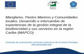 Presentación de PowerPoint - Natura€¦ · •114 profesionales nacionales e internacionales capacitados en temas de gestión de ecosistemas de pastos y manglares •2 manuscritos
