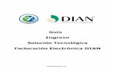 Guía Ingreso Solución Tecnológica Facturación Electrónica DIAN · 2020-01-22 · Ilustración 7. Seleccione un certificado Una vez se ingrese al sistema al hacer clic en el menú