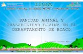 SANIDAD ANIMAL Y TRAZABILIDAD BOVINA EN EL bovino/SANIDAD ANIMAL Y... SANIDAD ANIMAL Y TRAZABILIDAD