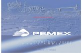 Dummy portadas finales - Pemex · P E T R Ó L E O S M E X I C A N O S 4 Petróleos Mexicanos (Pemex) es la empresa estatal a cargo del aprovechamiento de la riqueza petrolera de