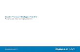 Dell PowerEdge R230 · Notas, precauciones y advertencias NOTA: Una NOTA indica información importante que le ayuda a hacer un mejor uso de su producto. PRECAUCIÓN: Una ADVERTENCIA