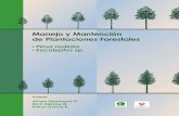 Manejo y Mantención de Plantaciones Forestalesicf.gob.hn/wp-content/.../PREFO-Manual-de-Manejo-Forestales-en-Chil… · producción forestal y silvicultura, por la interrelación