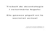 Treball de deontologia i veterinأ ria legals: Els gossos pigall en la 2011-10-28آ  Gossos de terأ pia,