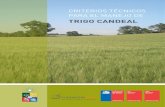 Trigo CANDEAL - Universidad de Chile...calidad”, realizado entre los años 2008 y 2011 con el apoyo financiero de la Fundación para la Innovación Agraria (FIA). Editores: Paola