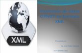 TRASMISION DE DATOS OPMET EN FOMATO XML€¦ · meta-lenguaje que permite definir lenguajes de marcado adecuados a usos determinados. Que es el XML. Que no sólo sirve para su aplicación
