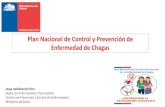 Presentación de PowerPoint - DIPRECE · 120.000 CONFIRMADOS EN CHILE 1300 CASOS CONFIRMA EL ISP Según la Encuesta Nacional de Salud (2009-2010) la prevalencia es de 0,7 x 100.000
