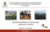 Presentación de PowerPoint Incentivos a la conservacion... · 2019-08-09 · FORTALECIMIENTO E IMPLEMENTACION DE INCENTIVOS A LA CONSERVACIÓN TIPO PSA EN EL DEPARTAMENTO DE CAQUETA