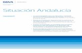 del Grupo BBVA Situación Andalucía › wp-content › uploads › mult › 1106_S… · Algunas consideraciones sobre el papel del copago en sanidad ... Andalucía no muestra diferencias