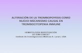 ALTERACIÓN*DE*LATROMBOPOYESIS*COMO* …...MEGACARIOPOYESIS TROMBOPOYESIS BFU-Mk CFU-Mk Megaca- rioblasto ProMega- cariocito Megaca-riocito Proliferación Endomitosis Stem cell Maduración