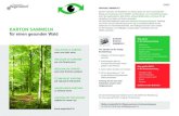Deutsch Français Italiano Português Shqip Srpski …...Karton sammeln für einen gesunden Wald ColleCter le Carton pour une forêt saine raCColta di Cartone per una foresta sana