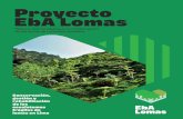 Proyecto EbA Lomas - UNDP › content › dam › peru › docs...de la meteorización física y química de la roca preexistente. Estéticos Forman paisajes verdes y ecosistemas naturales,