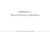 UNIDAD 3: Neurociencia Cognitiva · UNIDAD 3 – Neurociencia Cognitiva . Neurociencia, lenguaje y cognición social (cont.) • En la negociación está implícito el diálogo, la