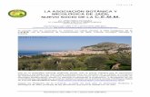 Artículo Congreso CEMM Sicilia - AsoJaen · 2017-01-04 · Agroalimentare - Sezione di Patologia Vegetale - Centro di Micologia Via F. Re, 8 - 40126 - BOLOGNA Revista: MICOLOGIA