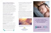 La información que los padres deben saber sobre los ... brochure Spanish.pdf · Indiana. La ley exige que los hospitales, médicos y otros proveedores de la salud denuncien los defectos