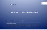 BCM s.r.l. - Perfil › BCM_Perfil_Corporativo.pdf · PDF file Telefonía IP Brindamos servicios de implementación y configuración de sistemas telefónicos. Nos especializamos en