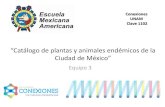 “Catálogo de plantas y animales endémicos de la Ciudad de México”conexiones.dgire.unam.mx/wp-content/uploads/2017/09/Dibujar-para... · “Catálogo de plantas y animales endémicos