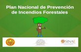 Plan Nacional de Prevención de Incendios Forestales · En la temporada 2011-2012 se logró reducir en un 50% la cantidad de intervenciones por incendios ... Dirección General de