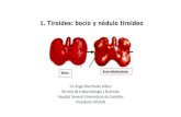 1. Tiroides: bocio y nódulo tiroideoEn una mujer de 68 años, a la que detecta en una ecografía tiroidea un nódulo sólido isoecoico de 12 mm en el LTD ¿Cuál es la actitud a seguir?
