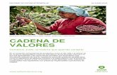 CADENA DE VALOREScomerciojusto.org/.../2018/06/Informe-Cadena-de-Valores.pdfLa cadena de valor del café En una cadena de suministro de café molido convencional, habitualmente existen
