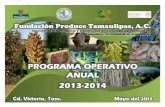 PROGRAMA OPERATIVO ANUAL 2013-2014.producetamaulipas.net/poas/poa_2013.pdf · sistema producto maiz altiplano de tamaulipas agricola 20 nopal transferencia de tecnologÍas para mayor