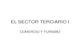 EL SECTOR TERCIARIO Iiesadaja.centros.educa.jcyl.es/sitio/upload/ESPANIA.terciario_I.pdf · y alquileres 4,8 Transporte 10,6 Turismo 15,5 Volumen de negocio del sector servicios 2004