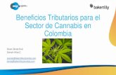 Beneficios Tributarios para el Sector de Cannabis en Colombia...Mediante los artículos 236 y 237 de la Ley 1819 de 2016 se crearon los incentivos tributarios para cerrar las brechas