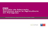 Estudio de Mercado Servicios para la Agricultura en Paraguay · Estudio de mercado / Servicios para la agricultura en Paraguay / 2017 Página 2 ... Más allá de la posición aventajada