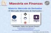 Presentación de PowerPoint · Sistema bursátil mexicano • Es el conjunto de organizaciones, tanto públicas como privadas, a través de ... Existencia de una demanda real de instrumentos