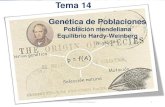 Población mendeliana Equilibrio Hardy-Weinberg€¦ · Población mendeliana: conjunto de individuos intercruzables que comparten un acervo genético común (organismos diploides,