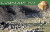 EL CAMINO DE SANTIAGO - Blog de Turismo de Álavablog.alavaturismo.eus/.../uploads/2019/02/caminoSantiago.pdf · 2019-02-12 · EL CAMINO DE SANTIAGO Peregrinos reflejados en las