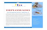 DIPLOMADO - fundacioncolombiamia.org · son enfermedades infecciosas consideradas un problema en salud publica en los países tropicales y subtropicales que están asociadas a los