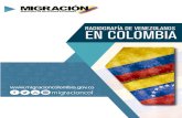 RADIOGRAFÍA DE VENEZOLANOS EN COLOMBIA€¦ · La Tarjeta Migratoria de Tránsito Fronterizo co-mienza a funcionar el 13 de agosto de 2016, fecha en que el Gobierno de Venezuela