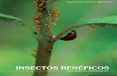 Insectos Bené - Simiente Disidente€¦ · insectos depredadores y parasitoides que encontramos en la región de Los Reyes, Michoacán, como enemigos naturales de plagas; y un segundo