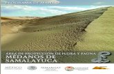 Área de Protección Samalayuca - Conanp · de Flora y Fauna Médanos de Samalayuca Macrolocalización Chihuah ua Sonora Coahuila de Zaragoza Sinaloa Durango 102° 102° 105° 105°